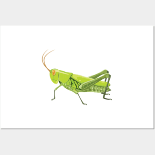 Green Milkweed Grasshopper Digital Painting Posters and Art